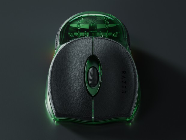 Boomslang 20th Anniversary Edition