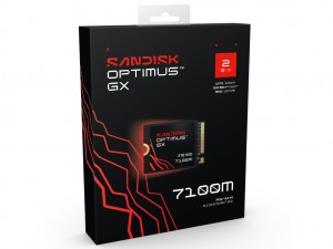 SANDISK Optimus GX 7100M NVMe SSD