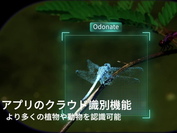 MatataXplore Solvia ED 8×32