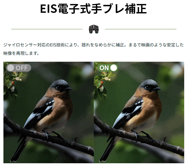 MatataXplore Solvia ED 8×32