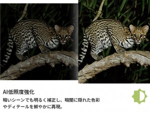 MatataXplore Solvia ED 8×32