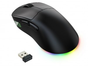 RACEN 軽量ワイヤレスゲーミングマウス LightBow