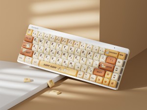 キラキラ・コーギー日和