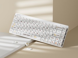 キラキラ・コーギー日和