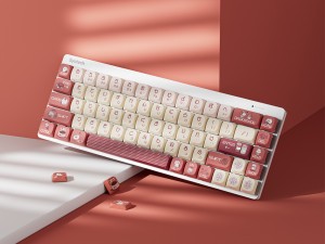 食いしん坊猫の秘密のレシピ