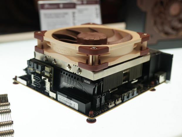 Noctua