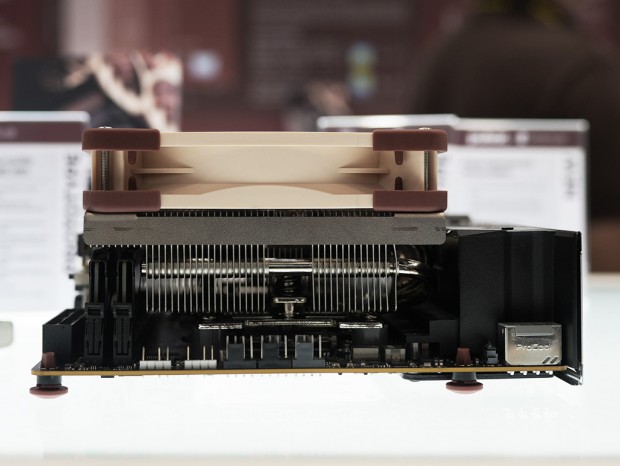 Noctua