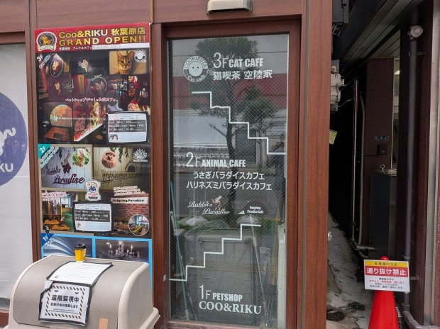 Coo＆RIKU秋葉原店