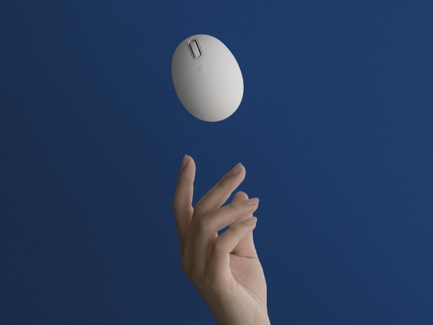EGG MOUSE