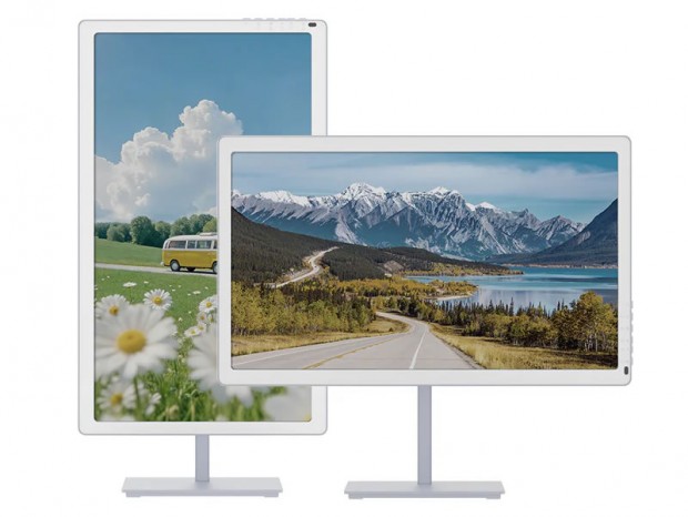 Bigme B251 Pro