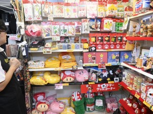 ルームスリッパ（パックンフラワー/土管）