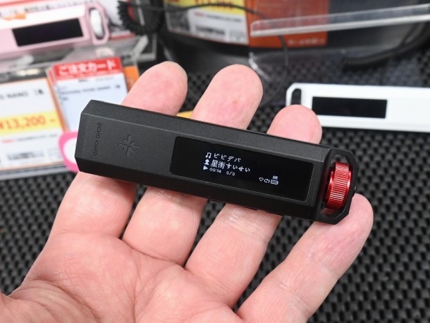 Snowsky ECHO NANO