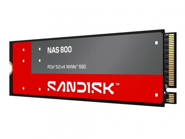 SANDISK NAS 800 NVMe SSD