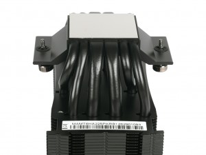 V8 ACE 3DHP