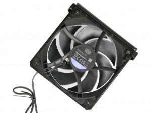 V8 ACE 3DHP