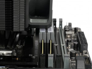 V8 ACE 3DHP