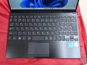 PCA020C12N