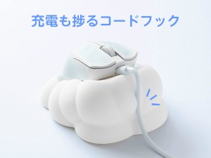 PXSLMS1