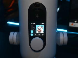 YETI 2
