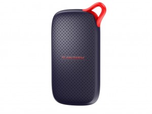 SANDISK Portable SSD