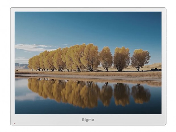 Bigme B13 Pro