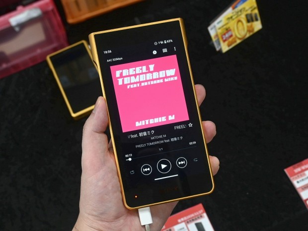 NW-WM1ZM3