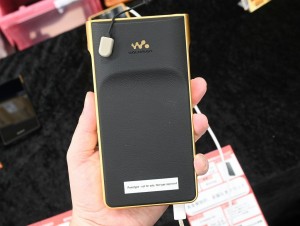 NW-WM1ZM3