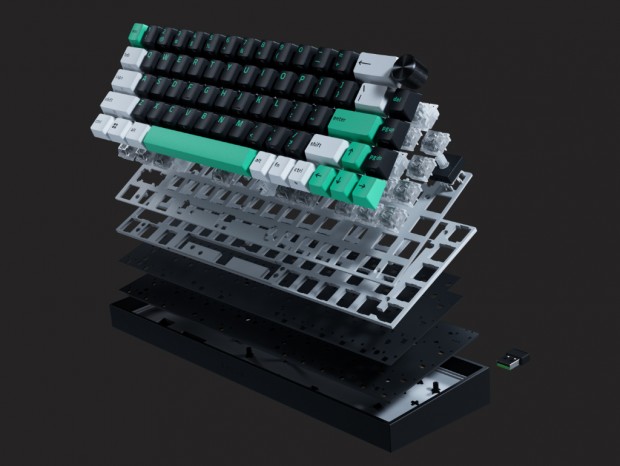 Reclusa Mini 65%